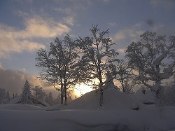 �^�����Ȑ��E�ւf�n�I