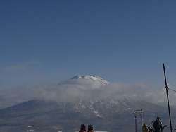 �r���R�̌�����Q�����f�ցI